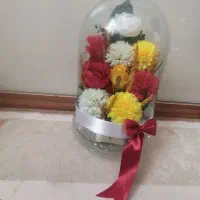 گل لوکس در تراریوم شیشه ای