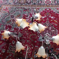 لوستر شکوفه سالم سالم نوی نو