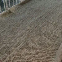 گلیم فرش شیش متر|گلیم، جاجیم، گبه|نوشهر, |دیوار