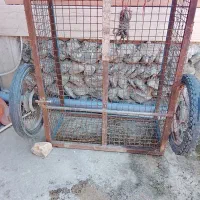 فروش گاری