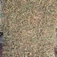 یونجه پرسی خلخال