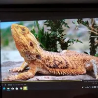 ویدئو پروژکتور فول اچدی
