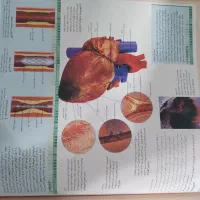 چند جلد کتاب|کتاب و مجله ادبی|اراک, |دیوار