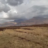 اجاره دادن زمین کشاورزی