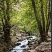تور مال اقا