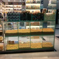 به یک شاگرد جهت کار در مغازه خشکبار