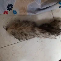 دکوری روباه