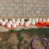 دانخوری و آبخوری