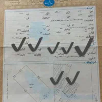 فروش زمین ۲۰۰متری در شهرک نفت و گاز کنگان