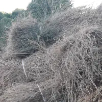 فروش یونجه و علوفه تازه