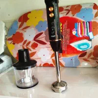 گوشت کوب برقی 3 کاره راف