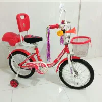 دوچرخه ۱۶ خارجی کم کار در حد نو|دوچرخه، اسکیت، اسکوتر|بروجن, |دیوار