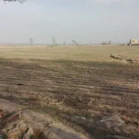 زمین باهرکاربری از1000مترتا1000هکتار|فروش دفتر صنعتی، کشاورزی، تجاری|مشهد, شهید جنگی|دیوار