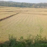 خانه ویلایی  به همراه زمین