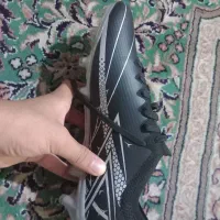 سالم|کیف، کفش، کمربند|گرگان, |دیوار