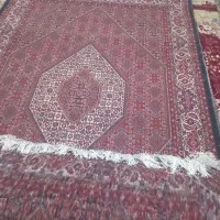 فرش بسیار زیبا وخوش نقش|فرش|ایجرود, |دیوار