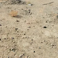 زمین-در-منزل-آب