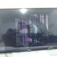 تلویزیون|تلویزیون و پروژکتور|کاشان, راوند|دیوار