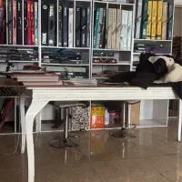 کاغذ دیواری وپستر سه بعدی در جدیدترین طرح های