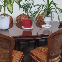 میز نهارخوری تمام چوب 8 نفره|میز و صندلی غذاخوری|شاندیز, |دیوار