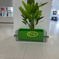 کاکتوس مصنوعی