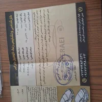 فروش206صندوقدارمدل95|خودرو سواری و وانت|شیراز, صاحب الزمان|دیوار