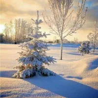 تفریح و هم سفر.