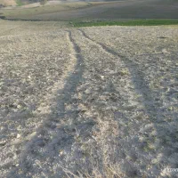 فروش زمین دیم فلارد|فروش زمین و ملک کلنگی|فلارد, |دیوار