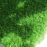 چمن مصنوعی|گل مصنوعی|نیشابور, شهید جعفری|دیوار