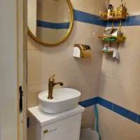 نصب توالت فرنگی و شیرالات|خدمات پیشه و مهارت|فومن, |دیوار