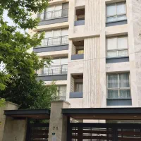 نما مدرن عفیف آباد همکف