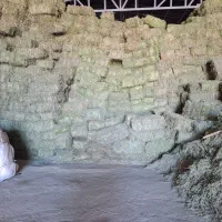 یونجه درجه یک|خدمات باغبانی و درختکاری|شازند, |دیوار