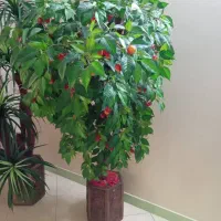 درخت مصنوعی