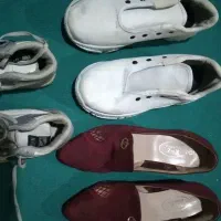 کفش نو|کیف، کفش، کمربند|اهواز, شهرک دانشگاه|دیوار