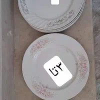 ظروف|ظروف سرو و پذیرایی|اراک, |دیوار