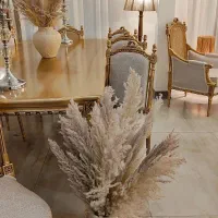 مبلمان و ناهارخوری کاجی آنتیک