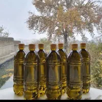 روغن زیتون اصل رودبار