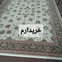 فرش ۶ متری افشان|فرش|چهاردانگه (تهران), |دیوار