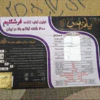 قالی بچه گانه|فرش|بندرعباس, |دیوار