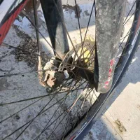 دوچرخه سایت 26 سالم|دوچرخه، اسکیت، اسکوتر|اندیشه, اندیشه فاز ۱|دیوار