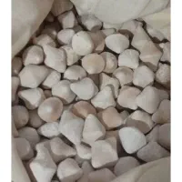 کشک گوسفندی