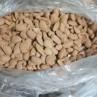 موادغذایی طبیعی سبزی  قرمه خوزستان  رسید