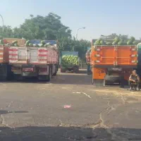 اجاره حجره تره بار مرکزی تهران  فاز 2سالن 10 پ 27|اجارهٔ مغازه و غرفه|تهران, میدان میوه و تره‌بار مرکزی|دیوار