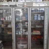 یخچال فروشگاهی 6درب