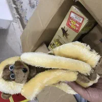 عروسک|اسباببازی|بروجرد, |دیوار