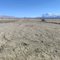 فروش-700متر-زمین-برای-احداث-دامداری