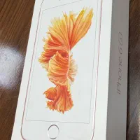 iPhone 6s|موبایل|شیراز, کلاهدوز|دیوار