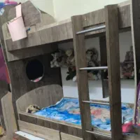 تخت خواب نوجوان ،