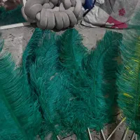 پر علامت