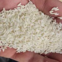 برنج عنبربو